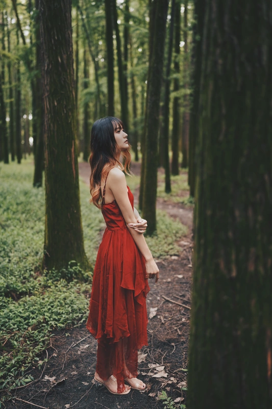 闯入迷雾森林 - 兔子zzz不吃胡萝卜